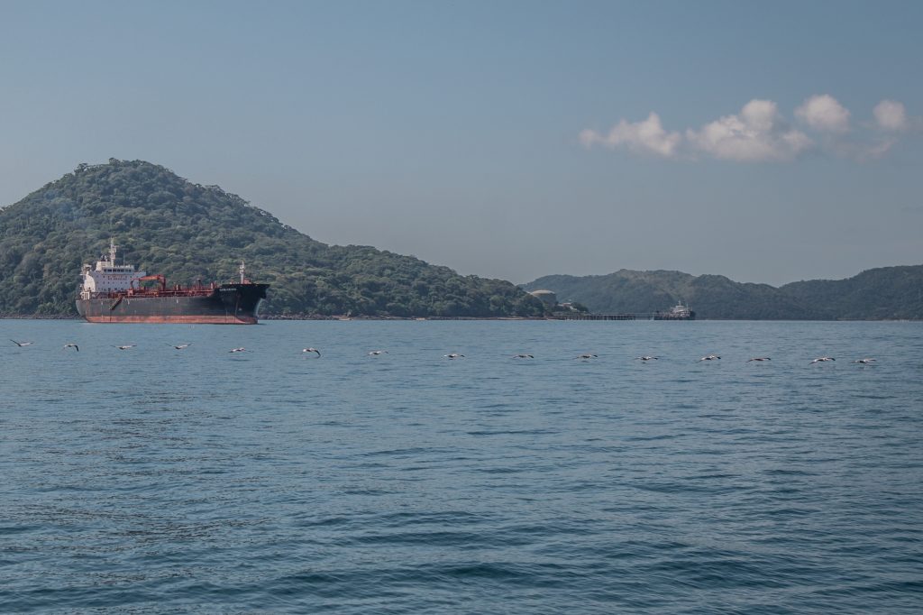 The Panama Canal landscape, hills in the background, a boat on the water and birds flying across.